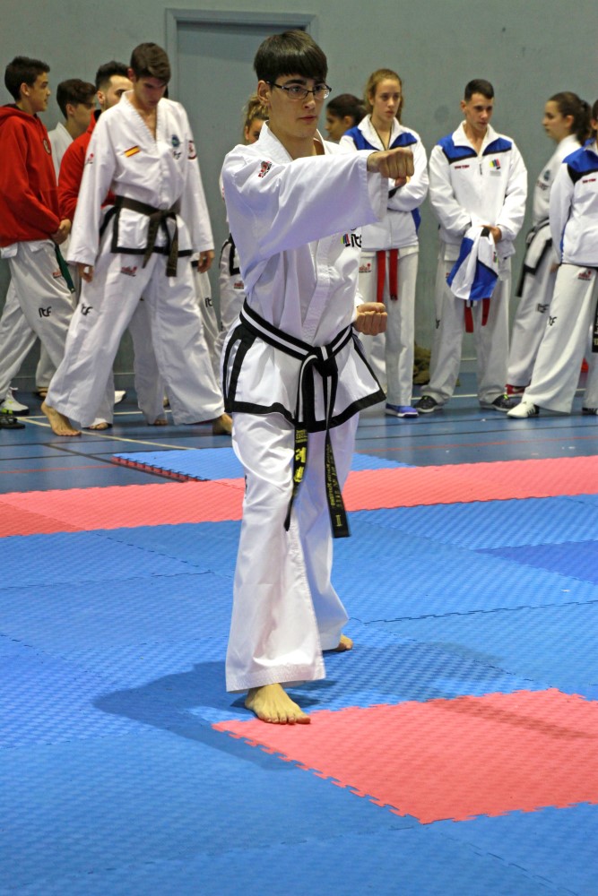 III Copa Seúl (135).jpg